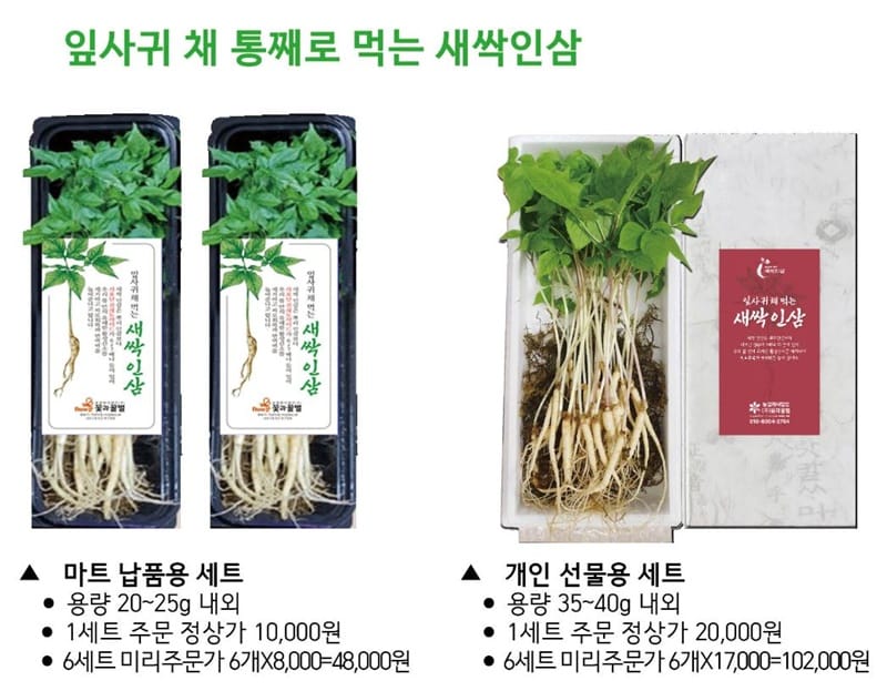 꽃과꿀벌 갤러리 2