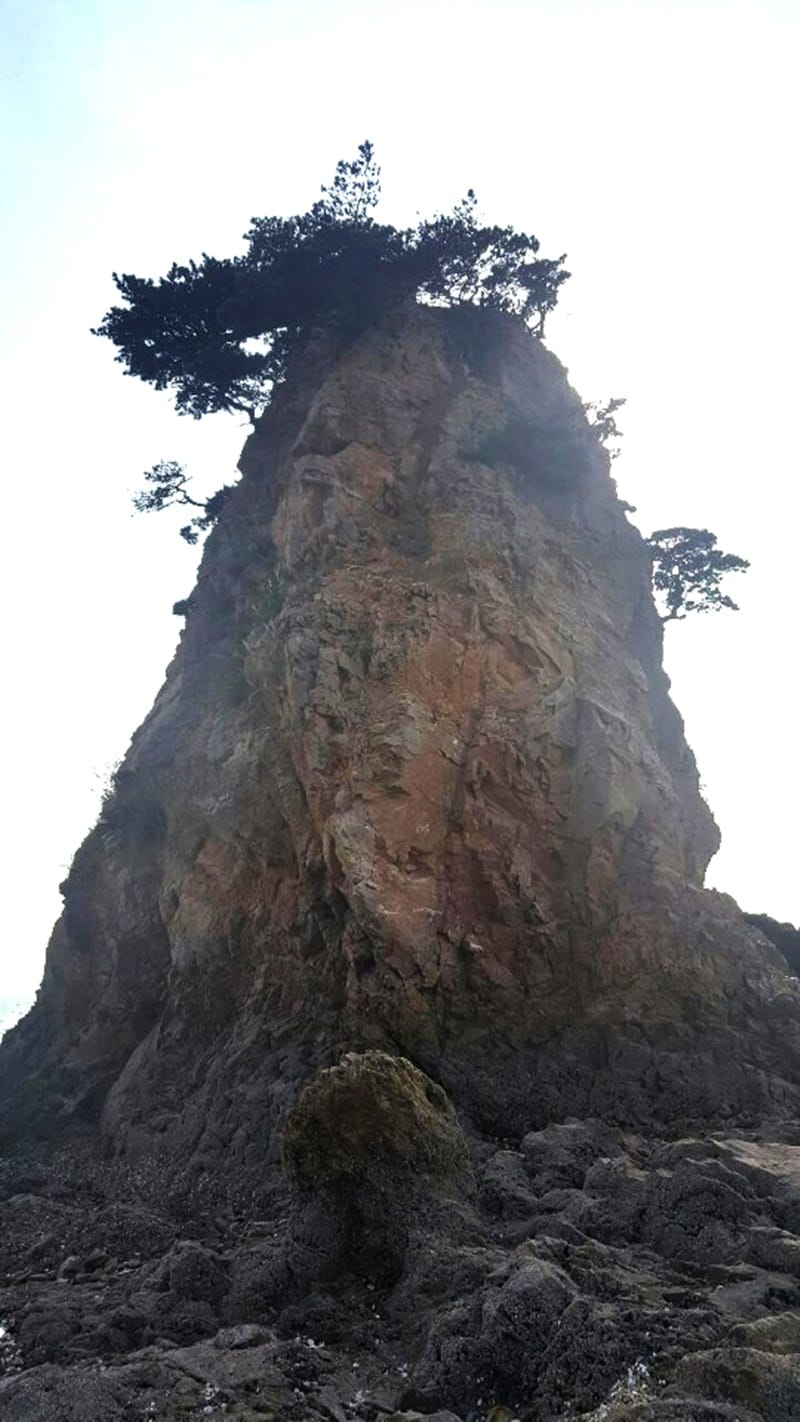 천황암 갤러리 5